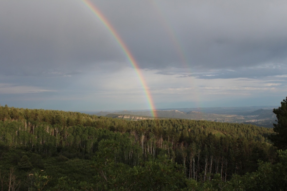 On our way to camp in the National Forest above Durango, we saw a full double rainbow. It was majestic! 