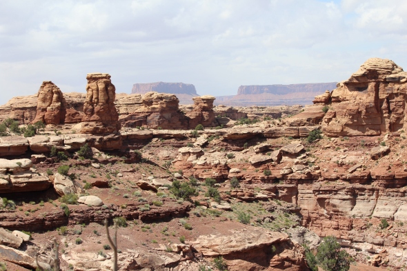 View from a hike in the Needles District at Canyonlands National Park, UT